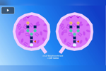 Roche IVGE - process & optimization