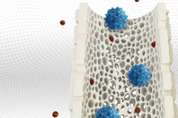 Why Membrane Matters In AAV Filtration Hollow Fiber AAV App Note