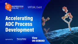 25_03_BPOL_1280x720_Vid