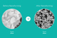 Nanoform Nanoform