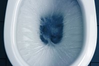 toilet-flushing_186957509-thinkstock