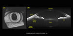 full_range_sd_oct_3d_image