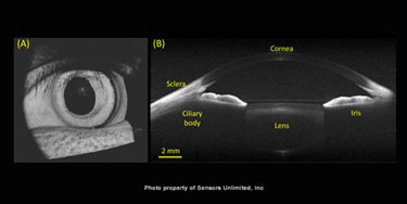 full_range_sd_oct_3d_image