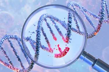 genetic engineering and gene manipulation, CRISPR technology, genome editing, molecular biotechnology, genetic science research, gene therapy-GettyImages-2196575232