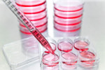 GettyImages-947704926-wells-plate-assay-red-liquid