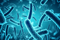 Rapid Bioburden Testing System To Detect Microbial Contamination Earlier Rapid Bioburden Testing System To Detect Microbial Contamination Earlier