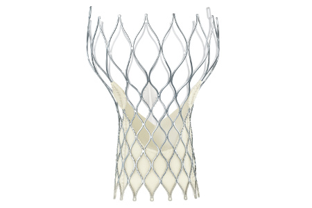 Edwards Edges Medtronic In Initial TAVR Comparison Trials