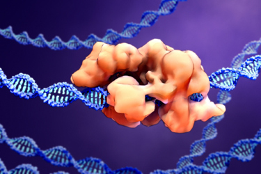 CRISPR-Cas9 proteins GettyImages-1206448008 CRISPR-Cas9 proteins GettyImages-1206448008