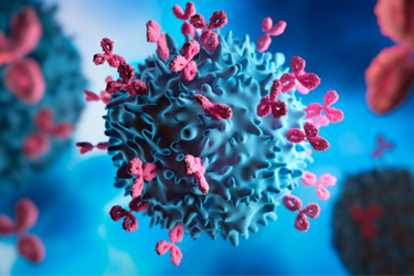 Antibodies And Cancer Cell GettyImages-1410479280