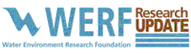 werf-research-update-header-sm.gif