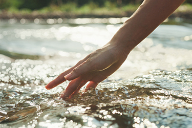GettyImages-1514165009_450_300 GettyImages-1514165009_450_300