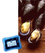 Canadian-Cove-Shellfish Canadian-Cove-Shellfish
