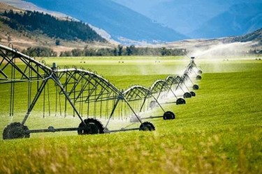 FSMA’s Produce Rule: Navigating The Agricultural Water Requirements FSMA’s Produce Rule: Navigating The Agricultural Water Requirements
