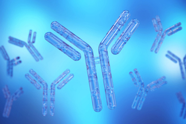 GettyImages-2184219690-chimeric-antibody-3d-render