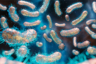Microbial Biomanufacturing: Where We've Been And Where We Are Going GettyImages-1466445074-ecoli-microbial-probacteria-bacteria