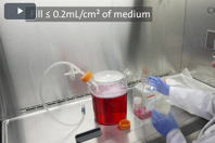 CellCube® System Protocol Corning CellCube System Protocol