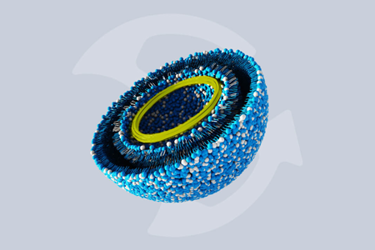 DIANT - nanoparticle
