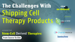 24_04_CGL_StemCell_Webinar_Seg11 24_04_CGL_StemCell_Webinar_Seg11