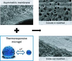 microgelbase microgelbase