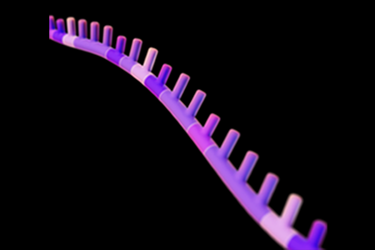 Asimov - RNA Edge Asimov - RNA Edge