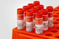 Human Mesenchymal Stem-Stromal Cells