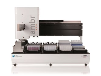 ambr 24way cut_hires (2)