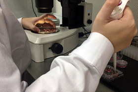 Lentiviral Vector Development & GMP Manufacturing Pipette cell therapy GettyImages-1406383393