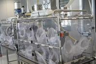 Pharmaceutical Flexible Containment Systems: Isolators, Enclosures, Glove Bags Flexible containment