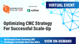 Optimizing CMC Strategy For Successful Scale-Up