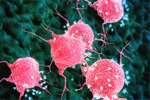 Tumor-cancer cell-GettyImages-1405940919