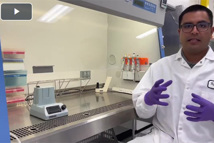 Batching In The PBS Mini