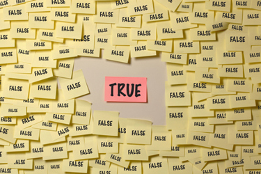 True or false-GettyImages-874548248 True or false-GettyImages-874548248
