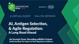 25_05_ARNA_1280x720_Seg09