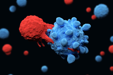 T Cell attacking cancer cell GettyImages-862601694
