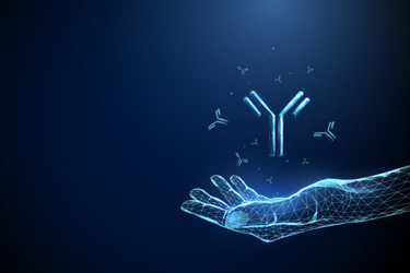 Immunotherapy, biomedicine, monoclonal antibody therapy, biotechnology, immune system protection-GettyImages-2225429219