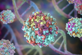 Pioneers And Visionaries Of Gene Therapy: AAV Purification Adeno-associated viruses AAV GettyImages-1322096218