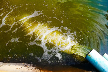 Untreated wastewater-effluent-pipe_before