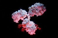 Importance Of Process Safety In Fluid Management Of ADCs Antibody-Drug-Conjugate-ADC- GettyImages-1371311995