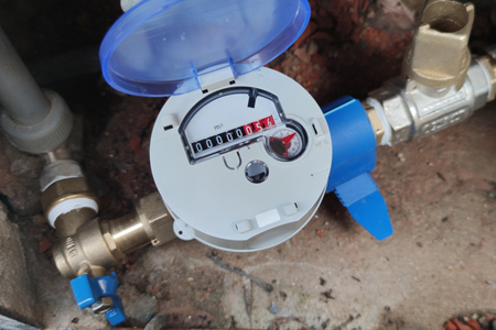 Advanced Metering Infrastructure: A Platform For Utility Resilience And Public Safety -- https://www.wateronline.com/doc/advanced-metering-infra...