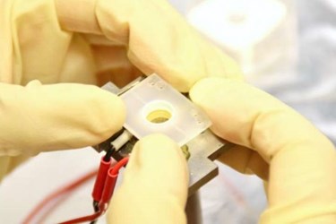 ionic liquids ionic liquids