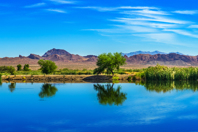 Case-Study-Henderson-Master-Planning