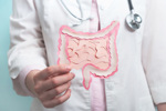 GettyImages-1352861391 Doctor holding decorative model intestine