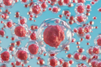 GettyImages-1435534172 stem cell