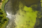 Nature, environmental-GettyImages-2172937599