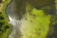 Nature, environmental-GettyImages-2172937599