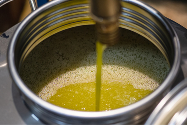 Olive Oil In Tank GettyImages-1440203691