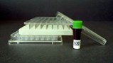 gI_87954_96-Well-Bio-Assemb