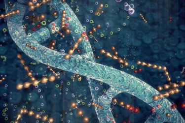 DNA double helix,Human DNA-GettyImages-1912348507