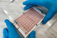 GettyImages-2203372173-assay-wells-elisa