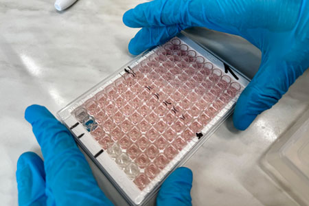 The Complete Guide To ELISA